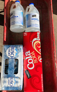 red wagon with 2 quarts of ammonia, a 12-pack of light beer, and a 12-pack of generic cola